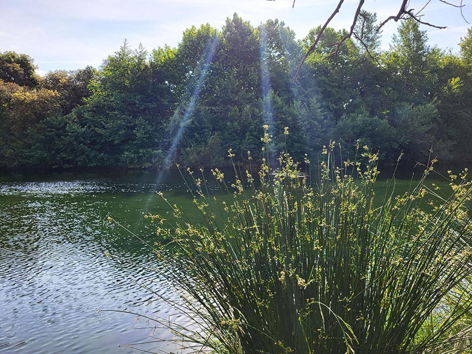 Camping Le Val De Cesse Mirepeisset ภายนอก รูปภาพ