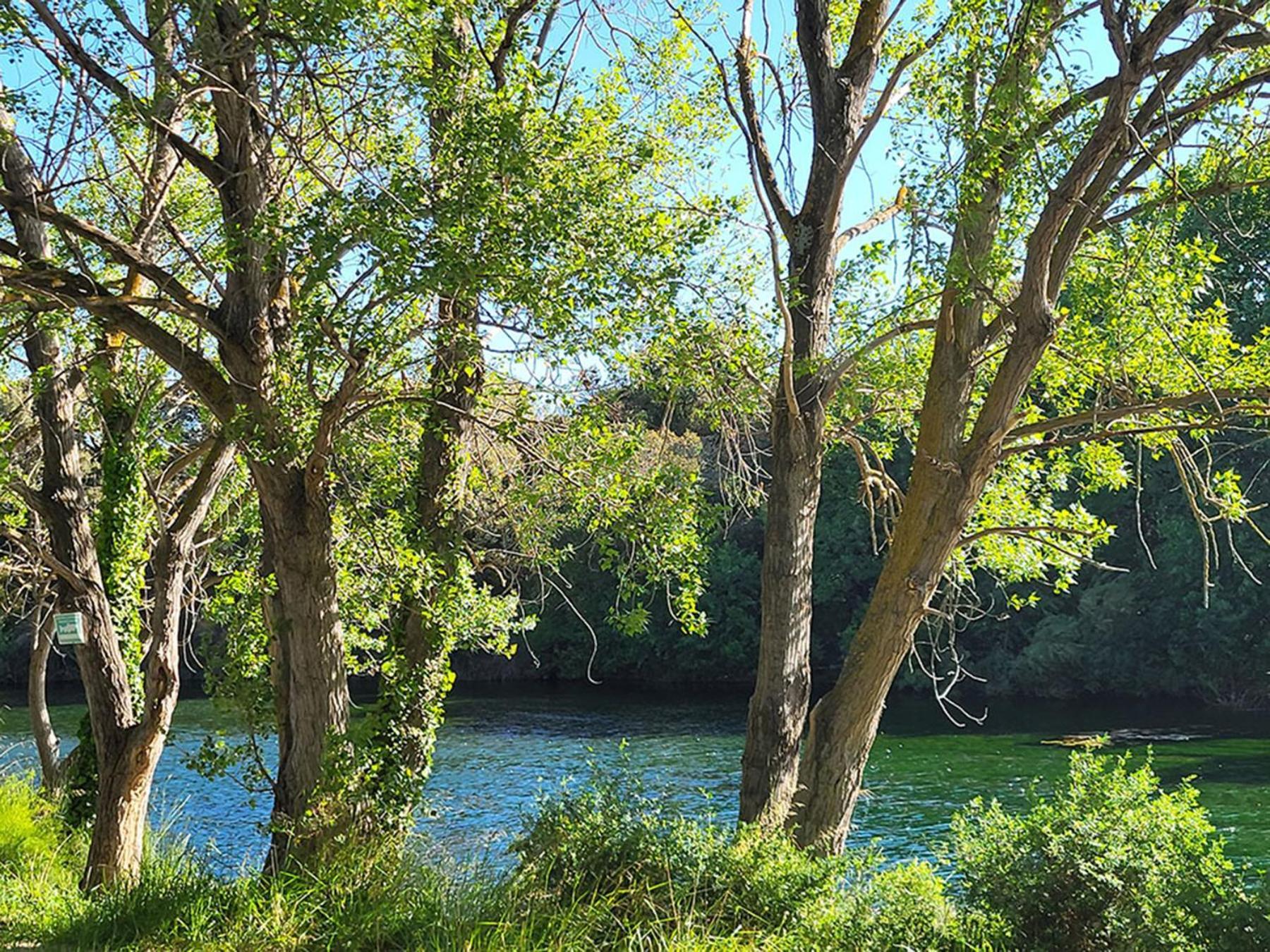 Camping Le Val De Cesse Mirepeisset ภายนอก รูปภาพ